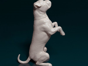 Cane Corso on rear legs 3D Print Model