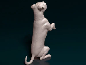 Cane Corso on rear legs 3D Print Model