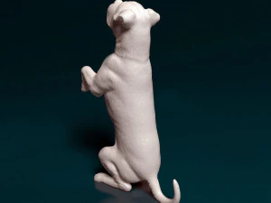 Cane Corso on rear legs 3D Print Model