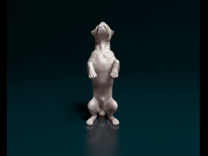 Cane Corso on rear legs 3D Print Model