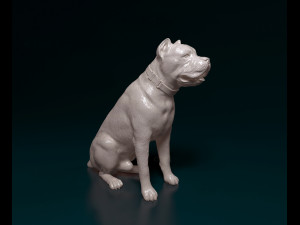 Cane Corso sitting 3D-printmodel