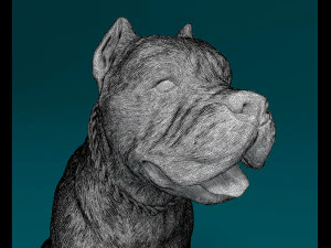 Cane Corso sitting 3D Print Model