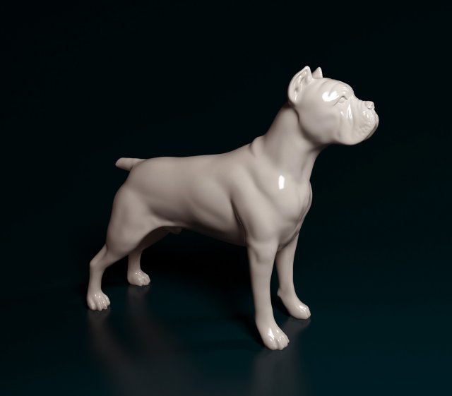 Cane Corso Modelo de Impressão 3D .c4d .max .obj .3ds .fbx .stl .blend 