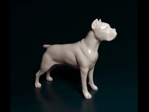 Cane Corso 3D Print Model