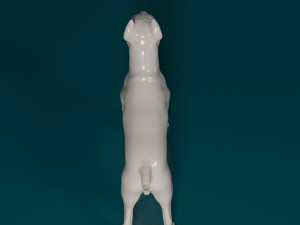 Cane Corso Modelo de Impressão 3D
