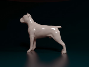 Cane Corso Modelo de Impressão 3D
