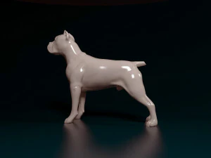 Cane Corso 3D Print Model