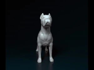 Cane Corso 3D Print Model