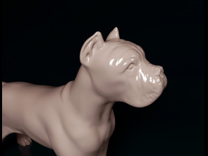 Cane Corso Modelo de Impressão 3D