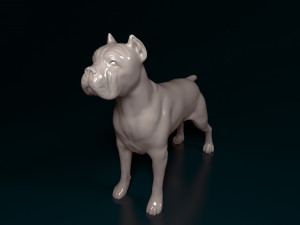 Cane Corso Modelo de Impressão 3D