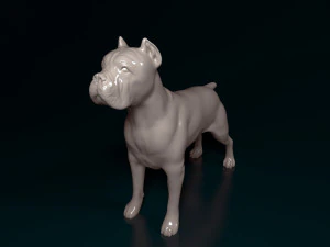 Cane Corso 3D Print Model