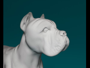 Cane Corso Modelo de Impressão 3D