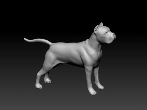 Cane Corso Modelo de Impressão 3D
