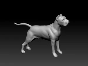 Cane Corso 3D Print Model