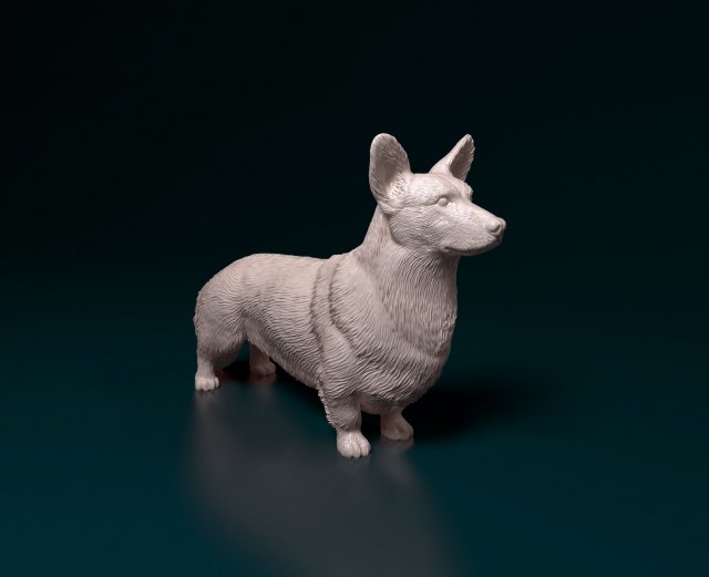 Welsh Corgi Cardigan Modelo de Impressão 3D .c4d .max .obj .3ds .fbx .stl .blend 