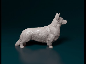 Welsh Corgi Cardigan Modelo de Impressão 3D