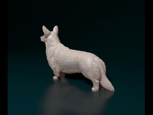 Welsh Corgi Cardigan Modelo de Impressão 3D