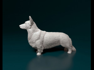 Welsh Corgi Cardigan Modelo de Impressão 3D
