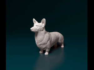 Welsh Corgi Cardigan Modelo de Impressão 3D