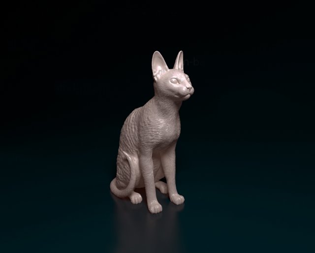 Cornish Cat 3D Print Model .c4d .max .obj .3ds .fbx .stl .blend 
