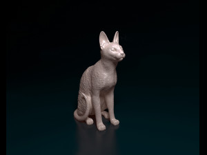 Cornish Cat 3D Print Model