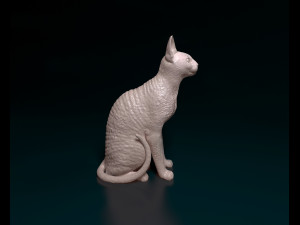 Cornish Cat 3D Print Model