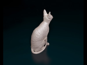 Cornish Cat 3D Print Model
