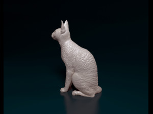 Cornish Cat 3D Print Model