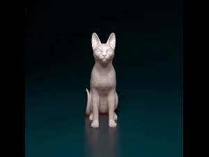 コーニッシュキャット 3Dプリントモデル