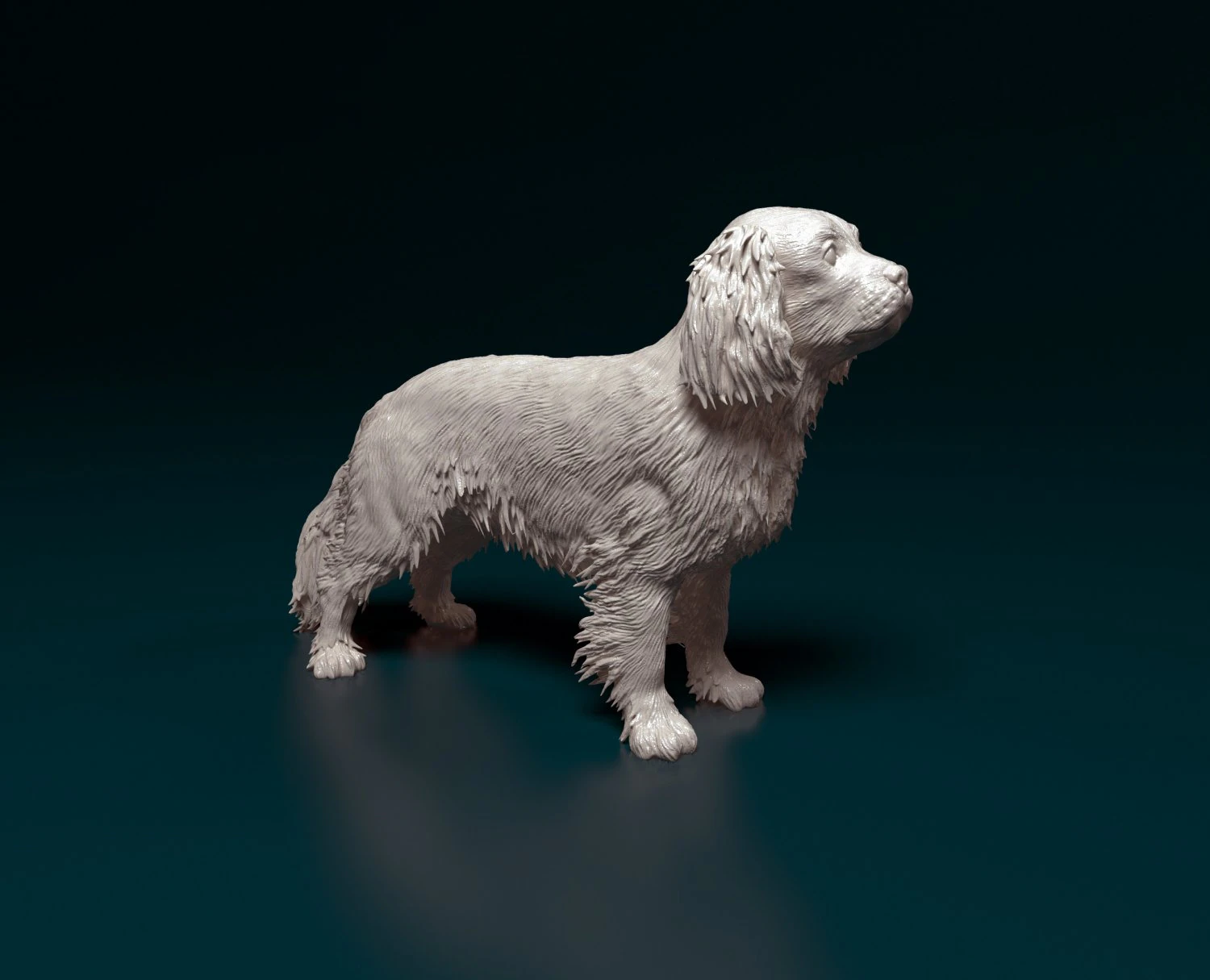 Cavalier King Charles Spaniel 3D Print Model .c4d .max .obj .3ds .fbx .stl .blend 