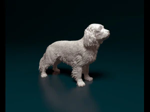 Cavalier King Charles Spaniel Modelo de impresión 3D