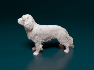 Cavalier King Charles Spaniel 3Dプリントモデル