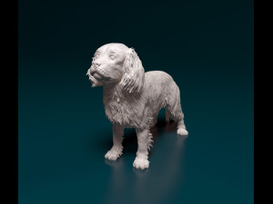 Cavalier King Charles Spaniel 3Dプリントモデル