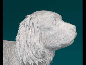 Cavalier King Charles Spaniel 3Dプリントモデル