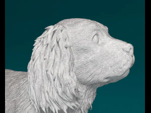 Cavalier King Charles Spaniel 3D Print Model