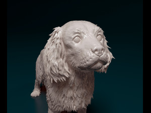 Cavalier King Charles Spaniel 3Dプリントモデル