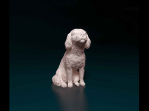 Cavalier King Charles spaniel sitting 3D Print Model