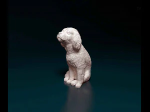 Cavalier King Charles spaniel sitting 3D Print Model