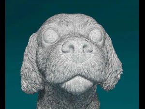 Cavalier King Charles spaniel sitting 3D Print Model