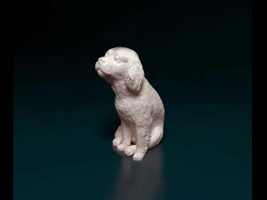 Cavalier King Charles spaniel sitting 3D Print Model
