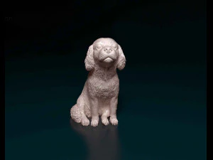 Cavalier King Charles spaniel sitting 3D Print Model