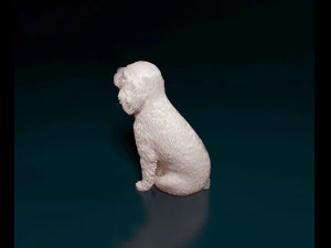 Cavalier King Charles spaniel sitting 3D Print Model