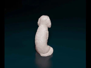 Cavalier King Charles spaniel sitting 3D Print Model