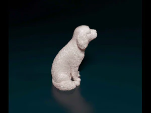 Cavalier King Charles spaniel sitting 3D Print Model