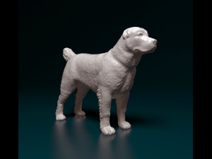 Alabay dog Modelo de impresión 3D