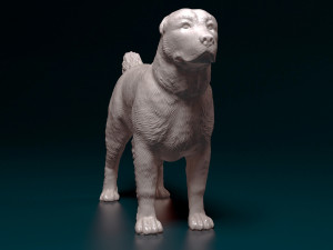 Alabay dog Model Cetak 3D