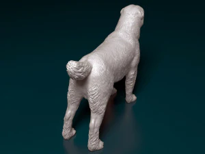 Alabay dog 3D Print Model