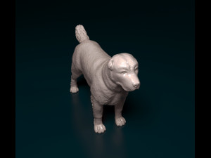 Alabay dog Model Cetak 3D