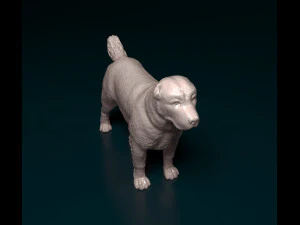 Alabay dog 3D Print Model