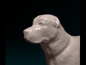 Alabay dog Model Cetak 3D
